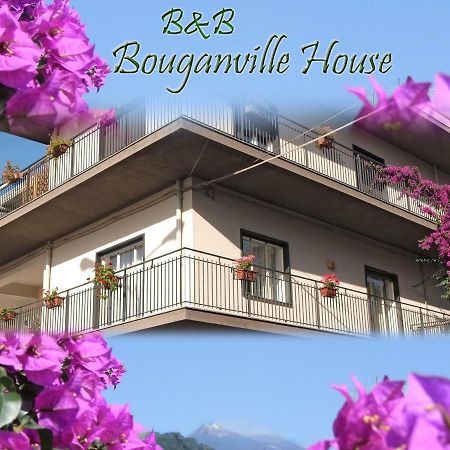 Bouganville House Zafferana Etnea Kültér fotó